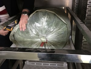 袋裝蔥花微波烘干設備驗機成功